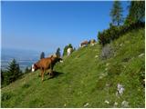 Planina Jezerca - Kalška gora